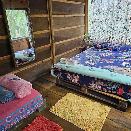 טרינידאדה Eco Hostel Organic Life מראה חיצוני תמונה