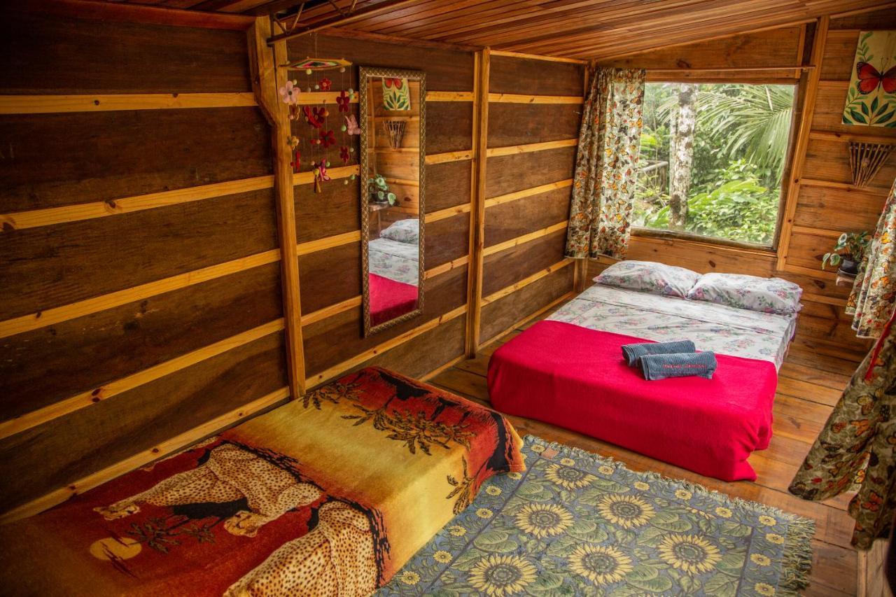 טרינידאדה Eco Hostel Organic Life מראה חיצוני תמונה