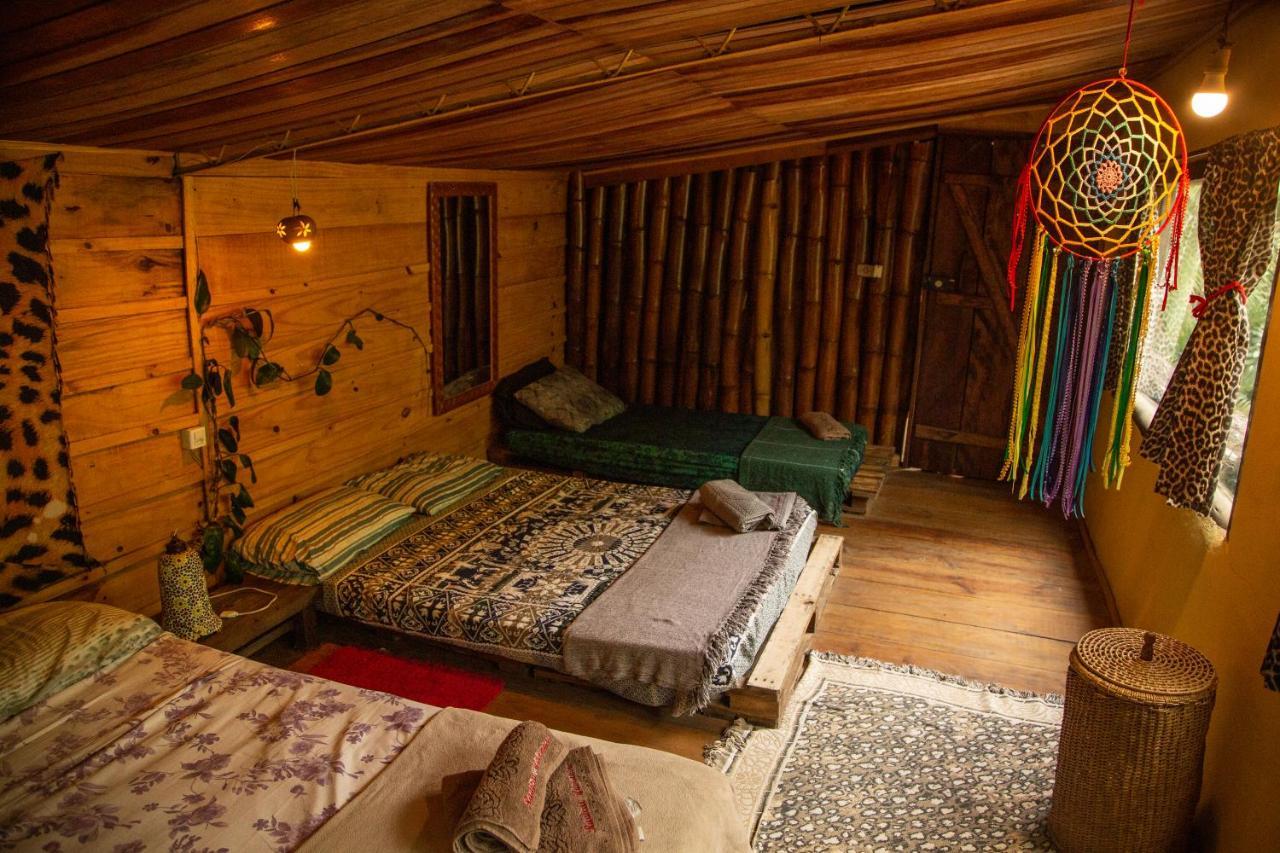 טרינידאדה Eco Hostel Organic Life מראה חיצוני תמונה