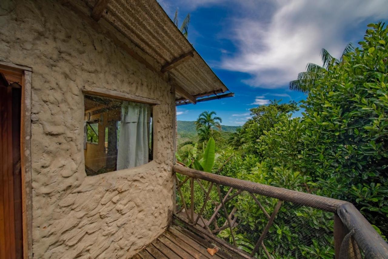 טרינידאדה Eco Hostel Organic Life מראה חיצוני תמונה
