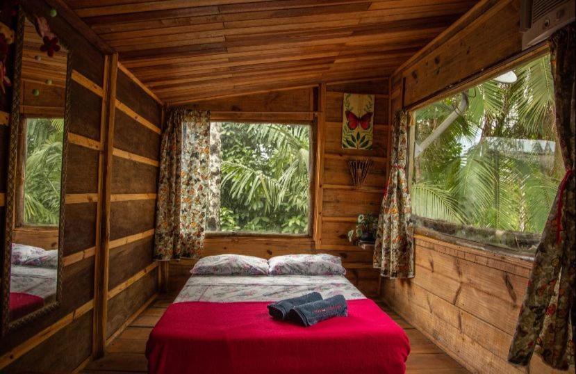 טרינידאדה Eco Hostel Organic Life מראה חיצוני תמונה