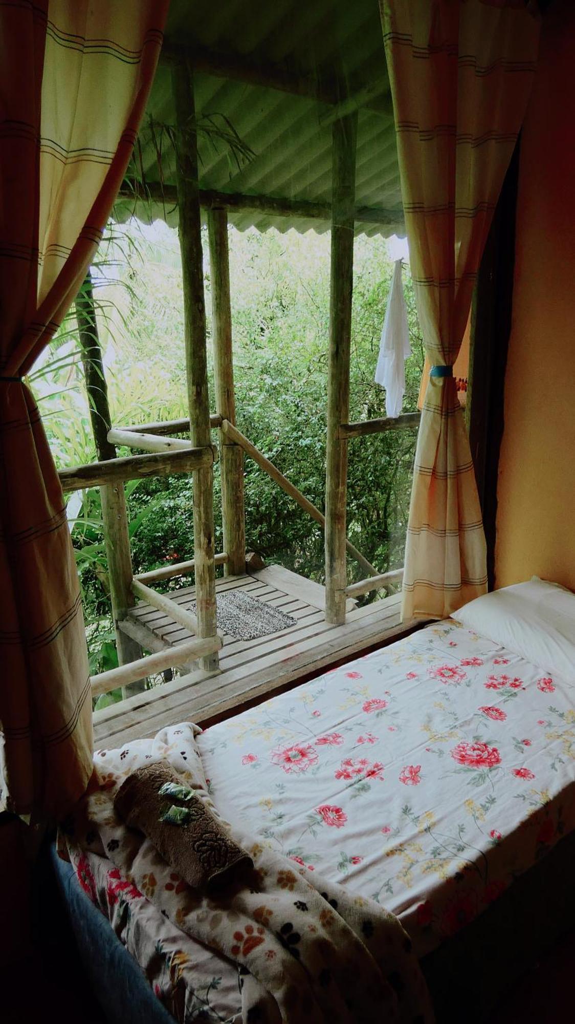 טרינידאדה Eco Hostel Organic Life מראה חיצוני תמונה
