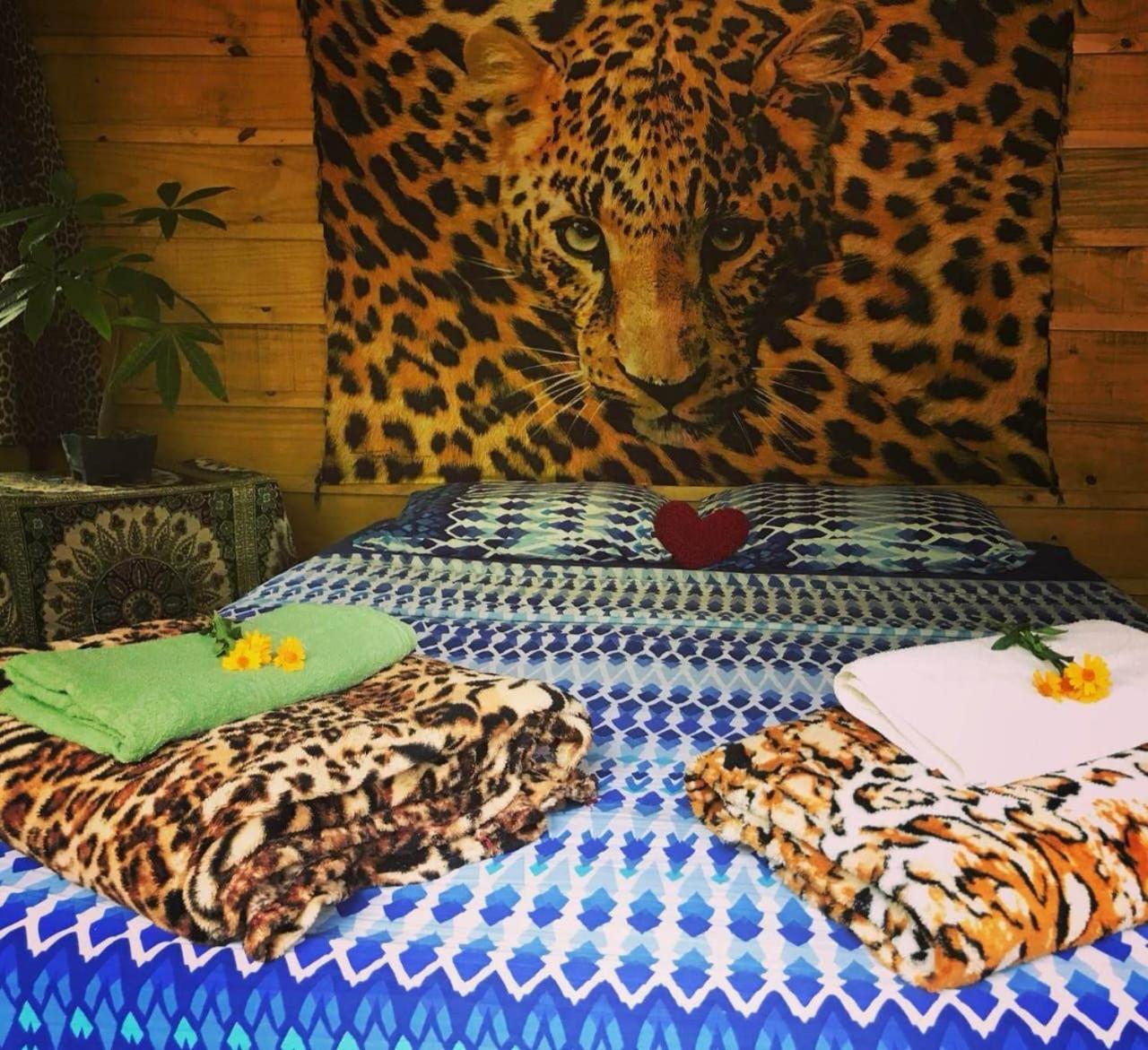 טרינידאדה Eco Hostel Organic Life מראה חיצוני תמונה