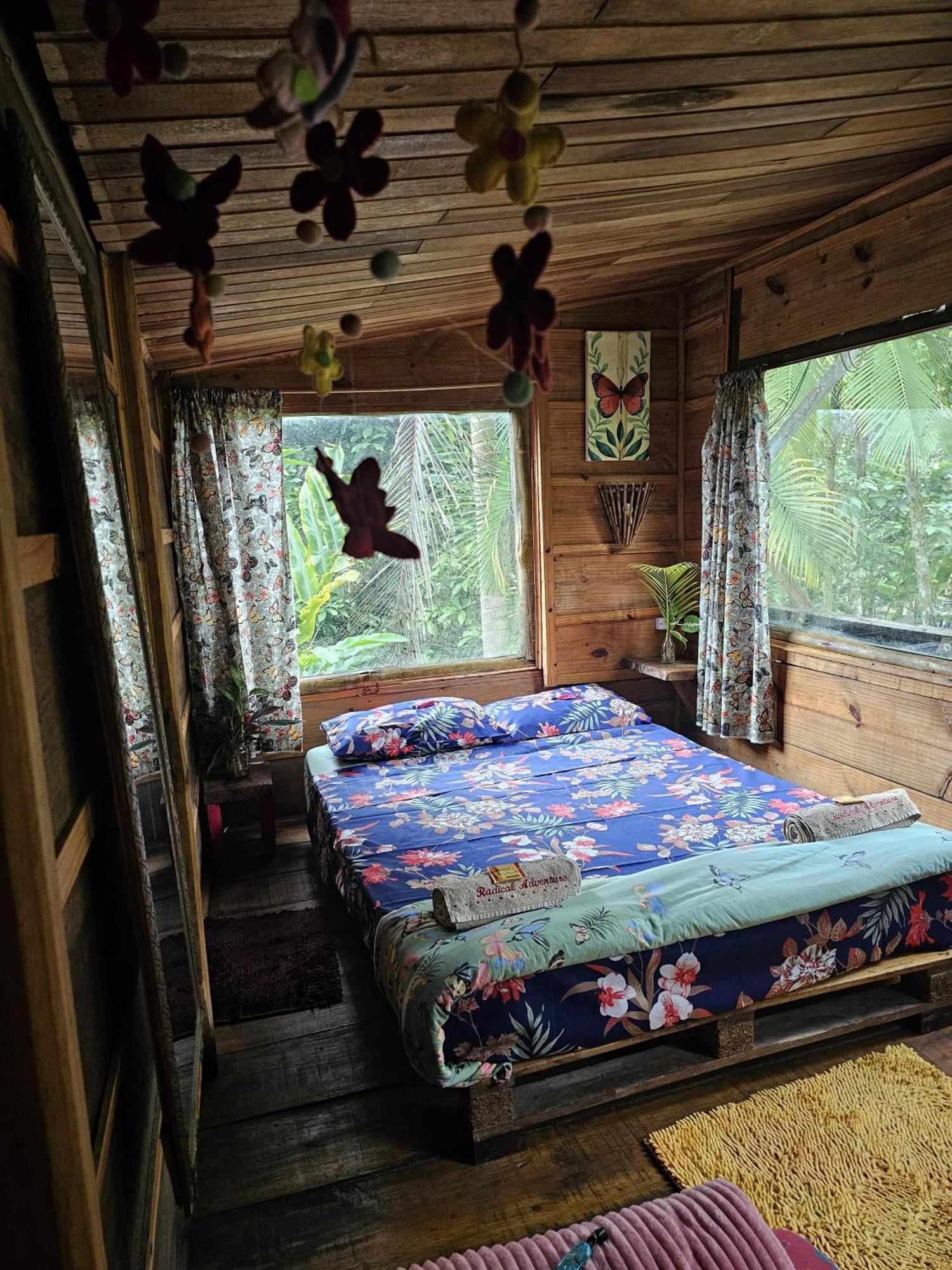 טרינידאדה Eco Hostel Organic Life מראה חיצוני תמונה