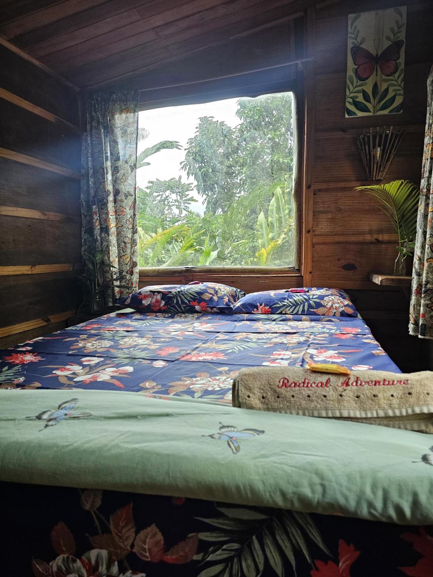 טרינידאדה Eco Hostel Organic Life מראה חיצוני תמונה