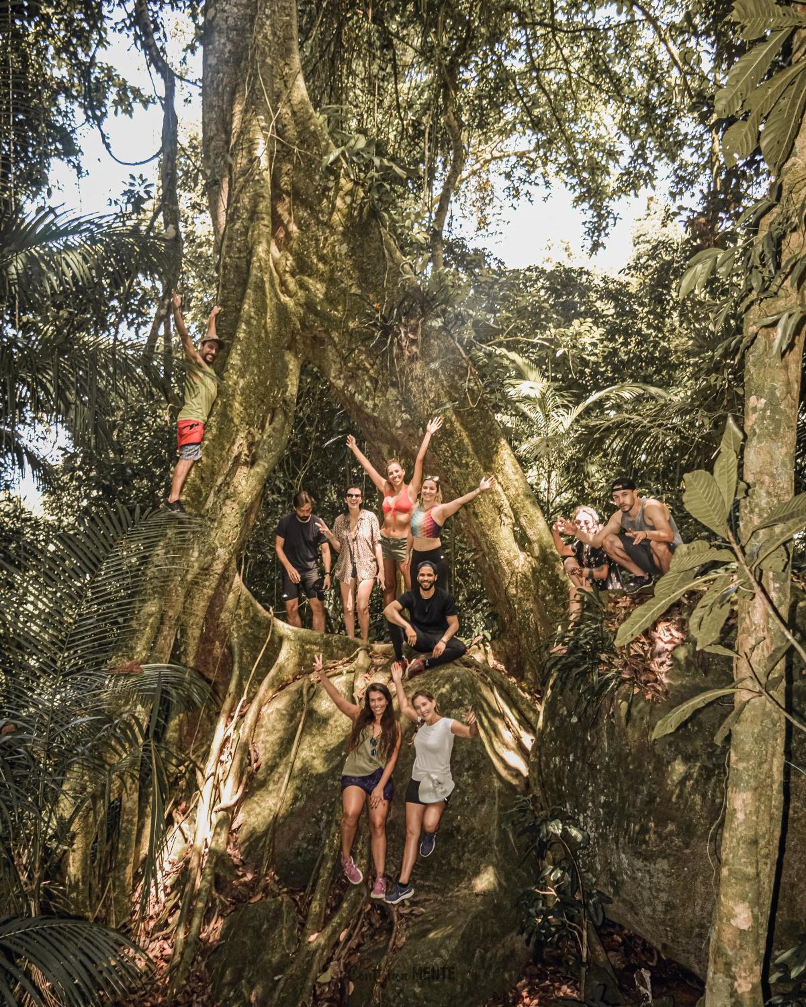 טרינידאדה Eco Hostel Organic Life מראה חיצוני תמונה