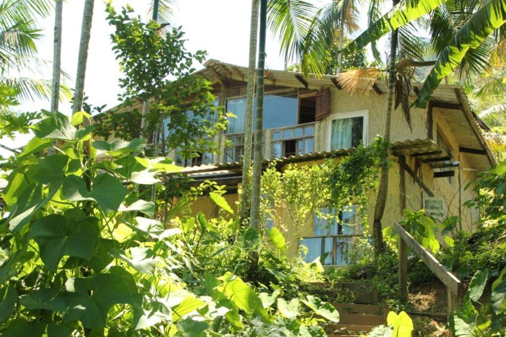 טרינידאדה Eco Hostel Organic Life מראה חיצוני תמונה